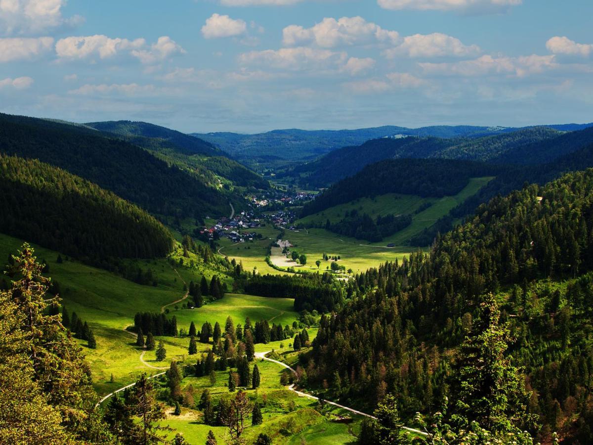 Black Forest Luxury Apartment Waldglueck Mit Sauna Königsfeld im Schwarzwald Exteriér fotografie